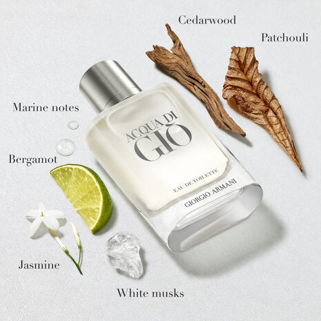Acqua Di Giò Eau de Toilette 3.4oz 100ML