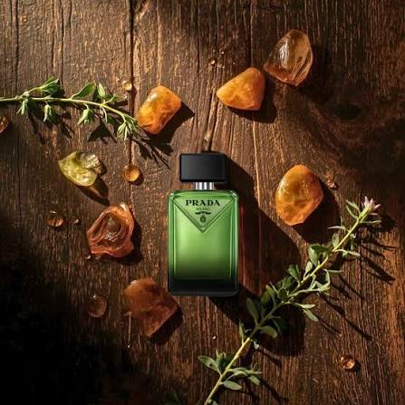 Prada Paradigme Eau de Parfum for Men 3.3 oz (100ml) – Sophisticated Woody & Musky Fragrance